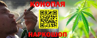 прущие грибы Тулун