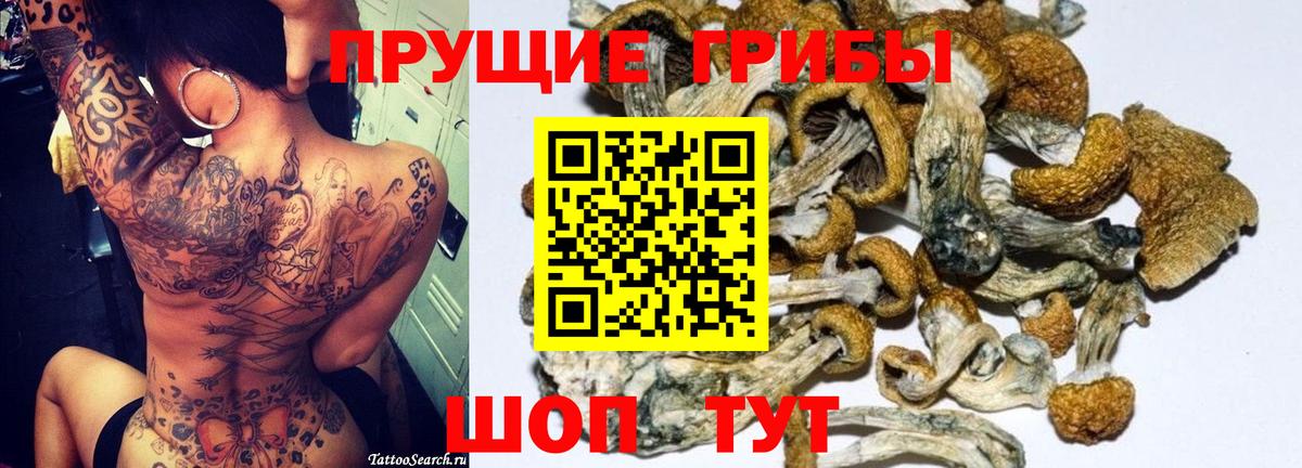 Галлюциногенные грибы MAGIC MUSHROOMS Оренбург